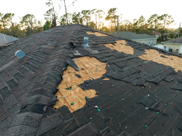 Best Roof Coating Services  in Atlantic, IA
